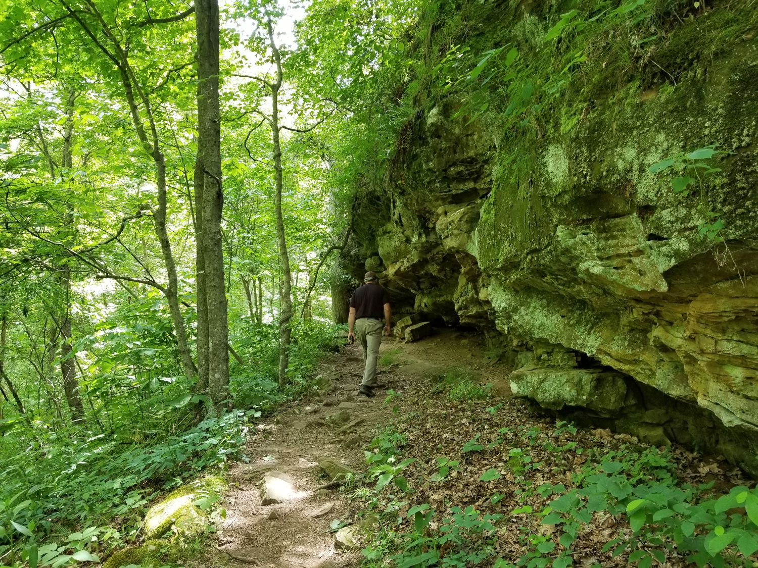 Giant City SP - Trillium Trail 